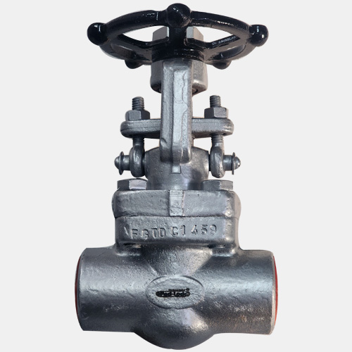 Globe Valves